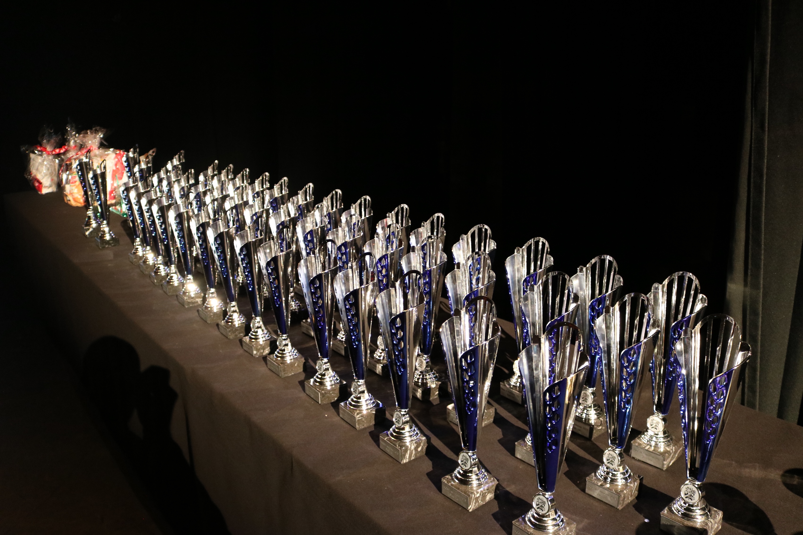 Oproep aan sportkampioenen 2024